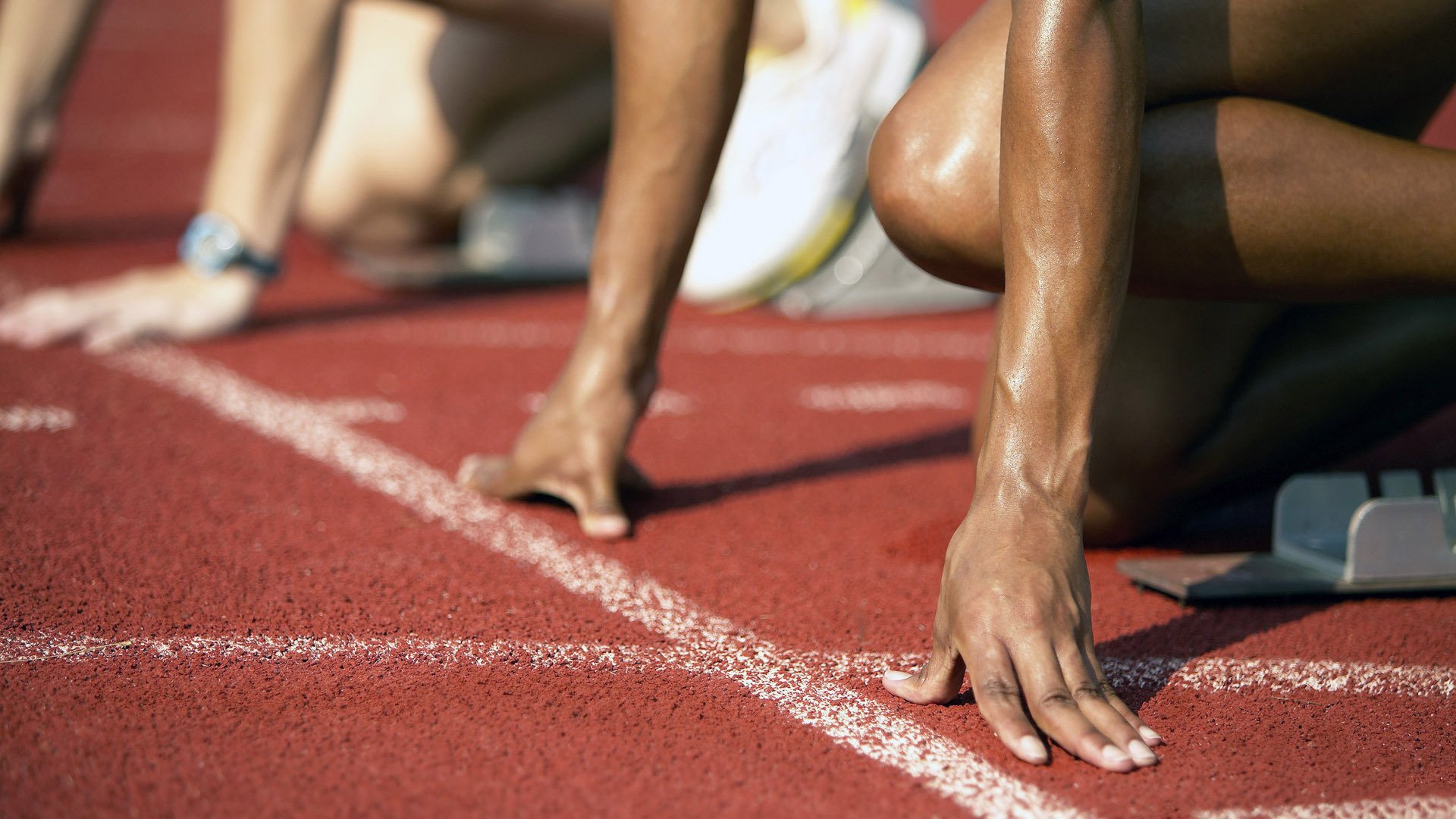 中国跳水队包揽世锦赛十金,创历史最佳战绩