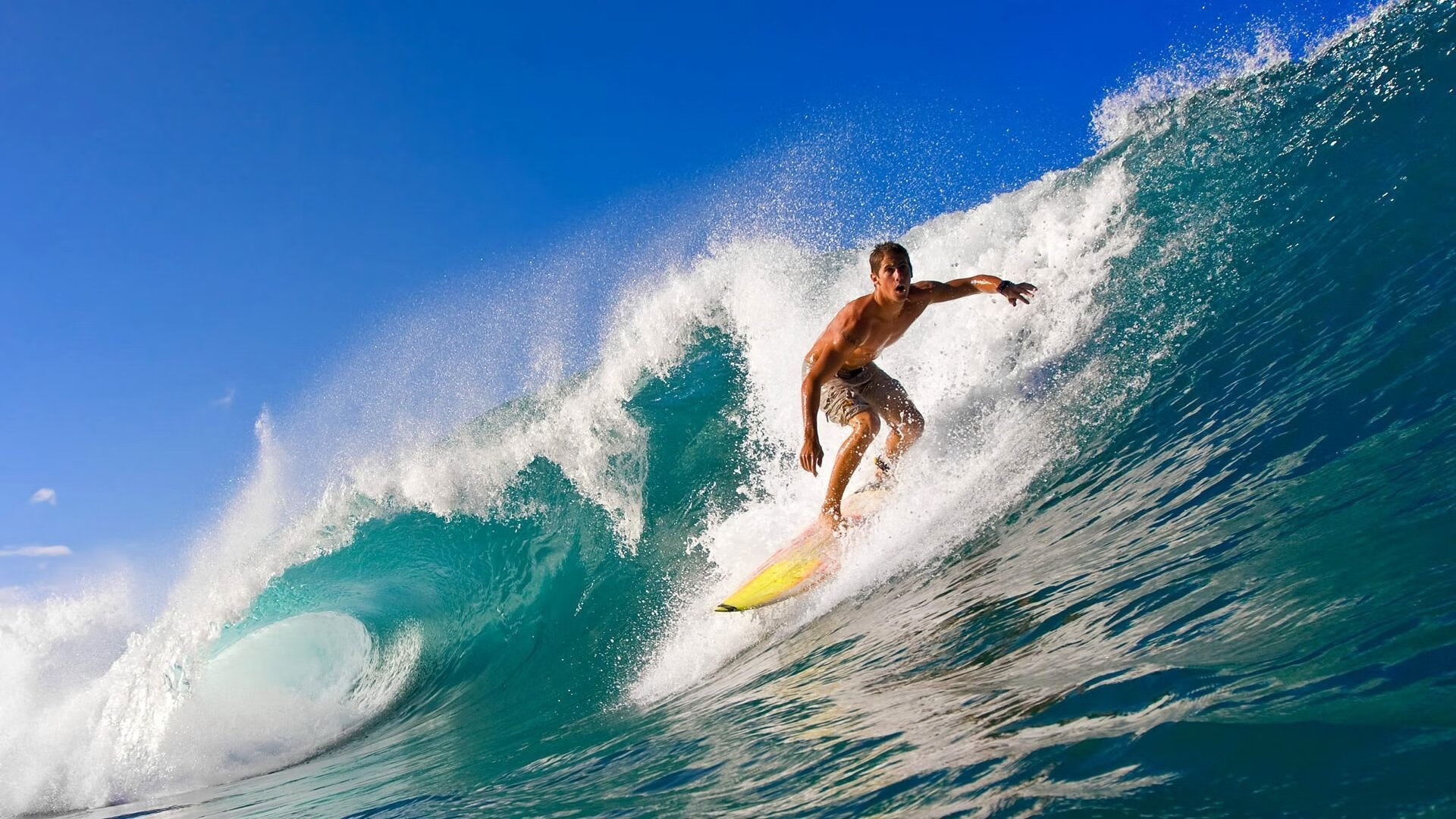 伤病康复之路,运动员重返赛场的坚韧与科学